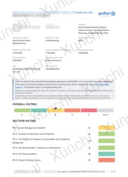 Watermarked preview of BSCI certificate